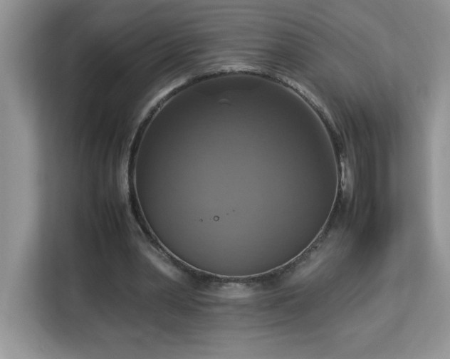X0000113110390200908281413