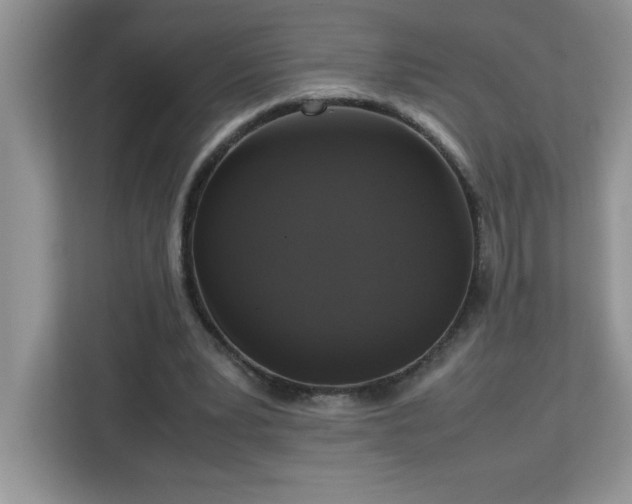 X0000113110391200908281413