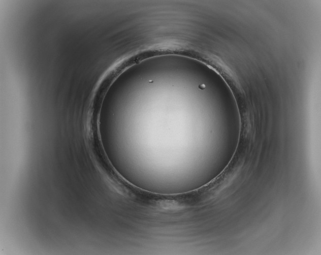 X0000113110392200908281413