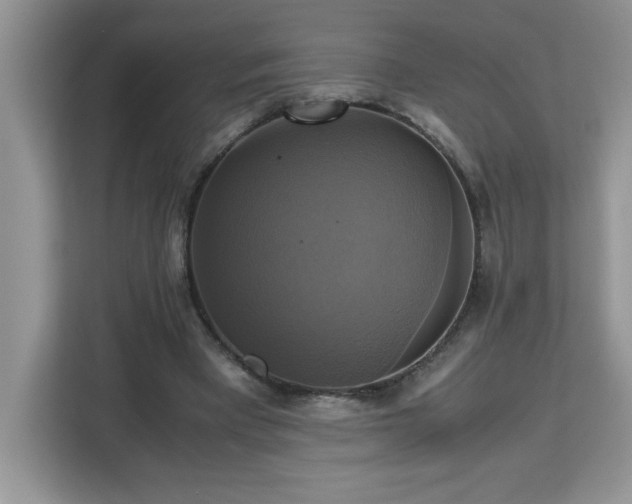 X0000113110393200908281413