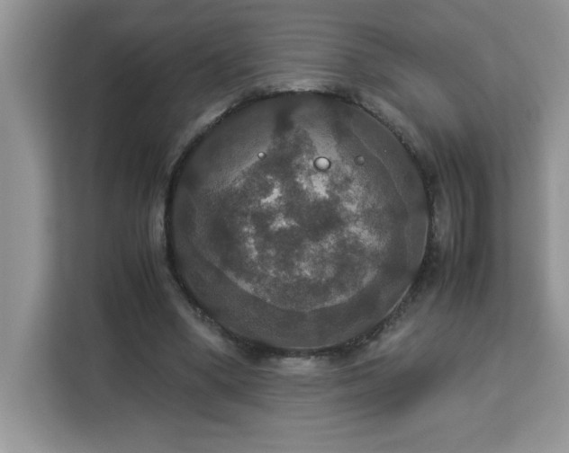 X0000113110394200908281413