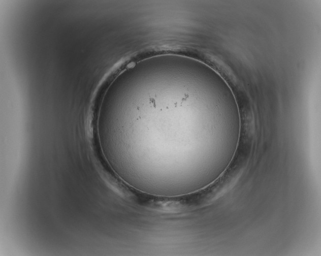 X0000113110395200908281413