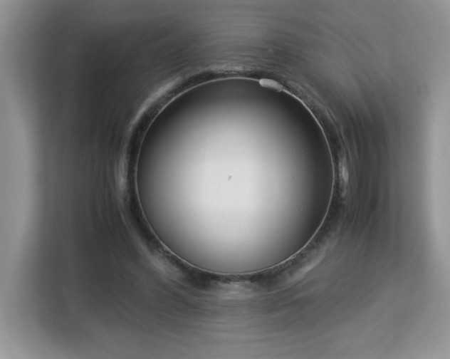 X0000113110396200908281413
