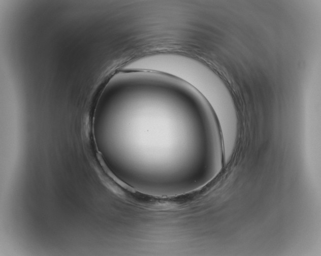 X0000113110397200908281413
