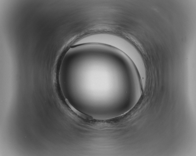 X0000113110399200908281413