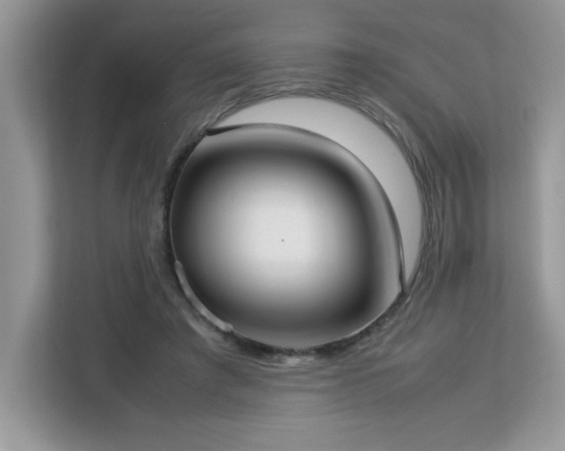 X0000113110401200908281413