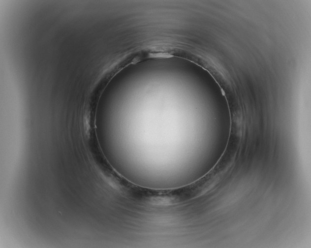 X0000113110404200908281413
