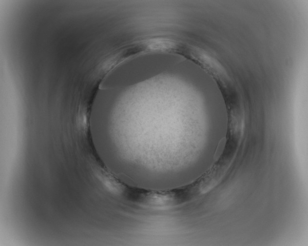 X0000113110405200908281413