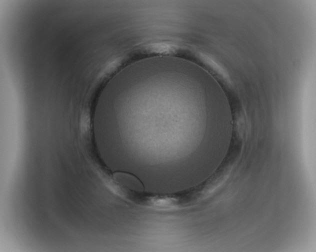 X0000113110407200908281413