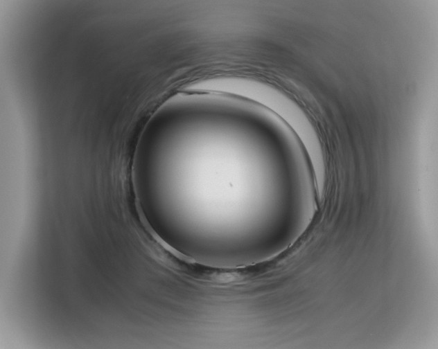 X0000113110409200908281413