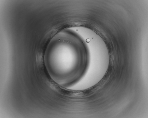 X0000113110410200908281413