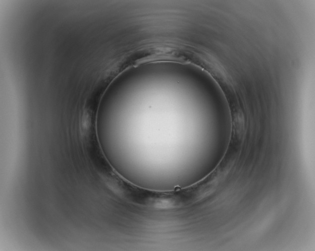 X0000113110412200908281413