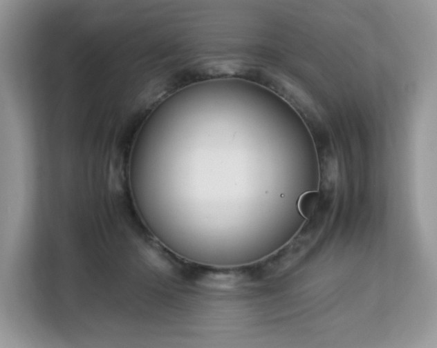 X0000113110414200908281413