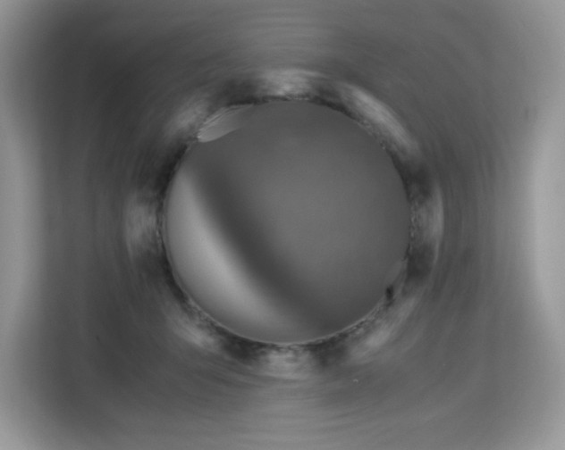 X0000113110415200908281413