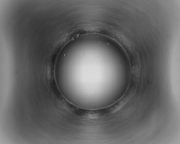 X0000113110416200908281413