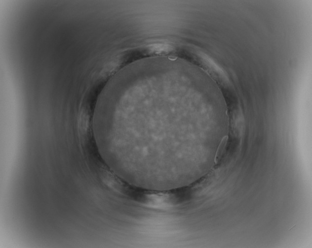 X0000113110417200908281413