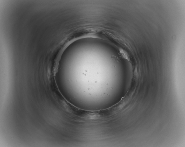 X0000113110424200908281412
