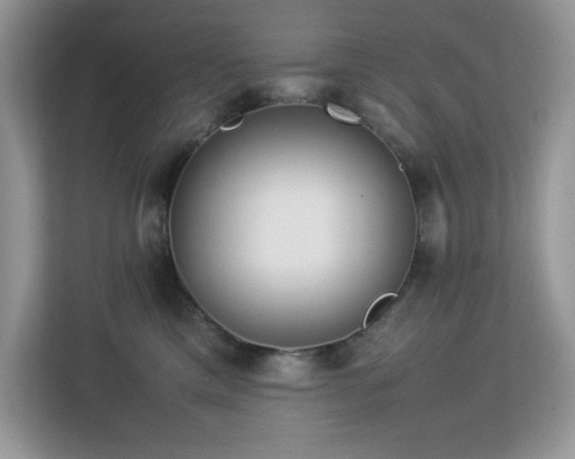 X0000113110425200908281412