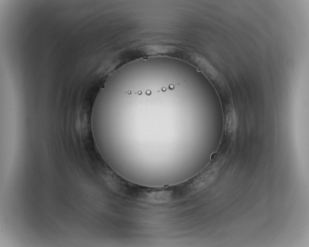 X0000113110426200908281412