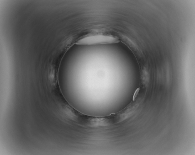 X0000113110428200908281412