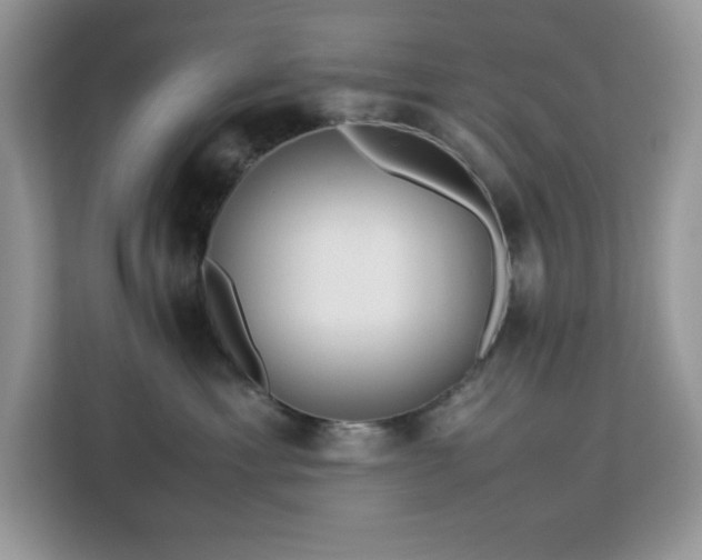 X0000113110429200908281412