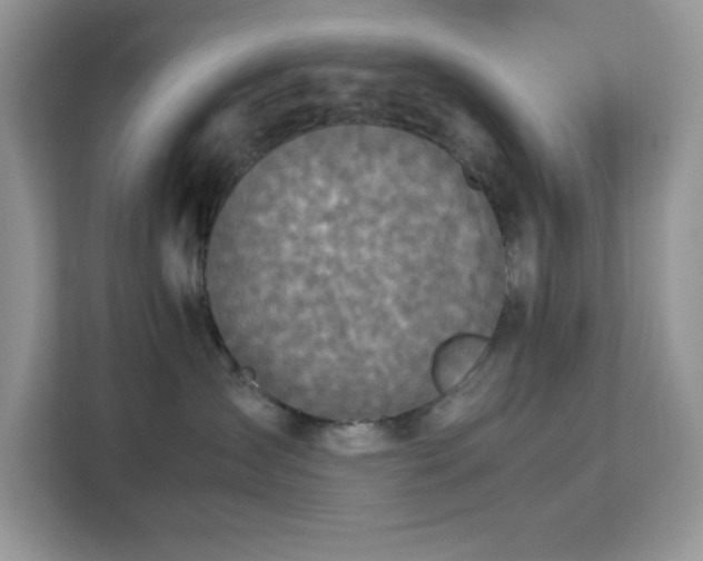 X0000113110431200908281412