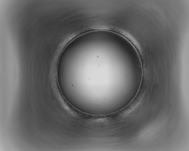X0000113110433200908281412