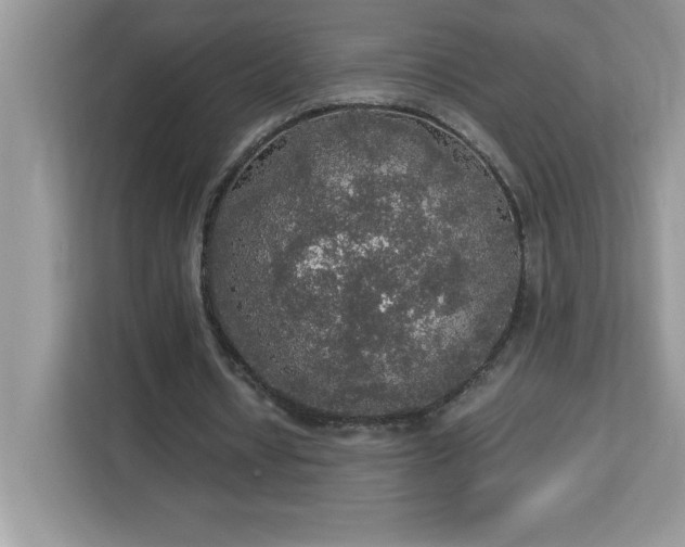 X0000113110434200908281412