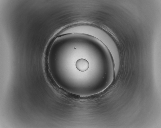 X0000113110436200908281412