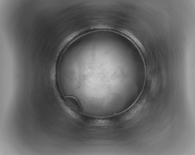 X0000113110437200908281412