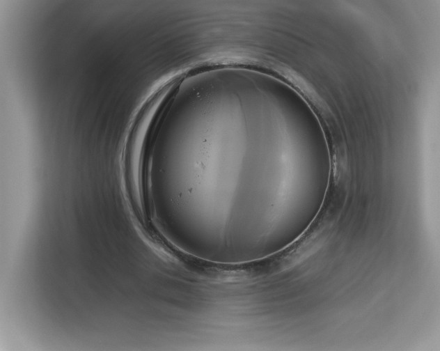 X0000113110438200908281412