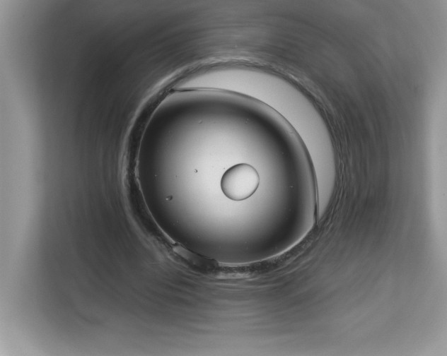 X0000113110440200908281412