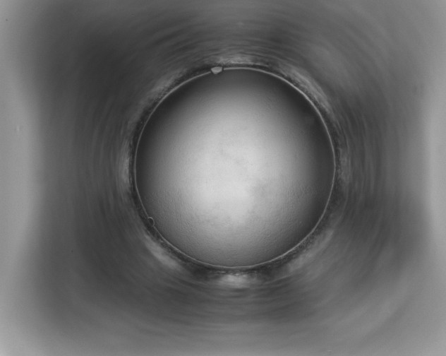 X0000113110441200908281412