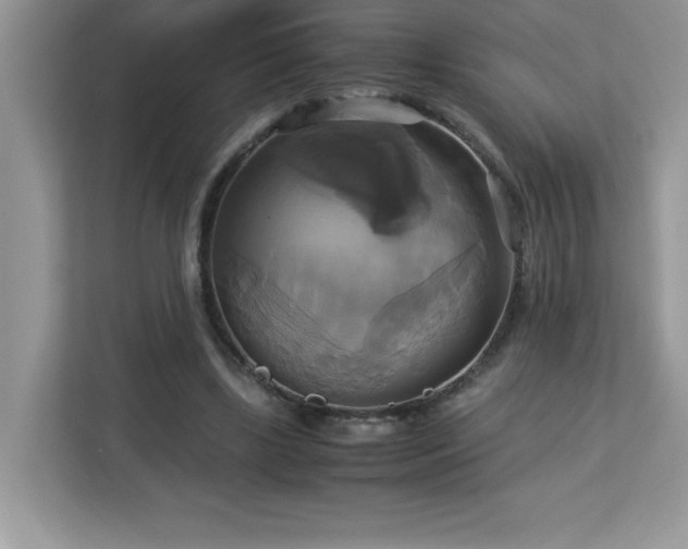 X0000113110443200908281412