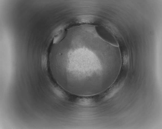 X0000113110444200908281412