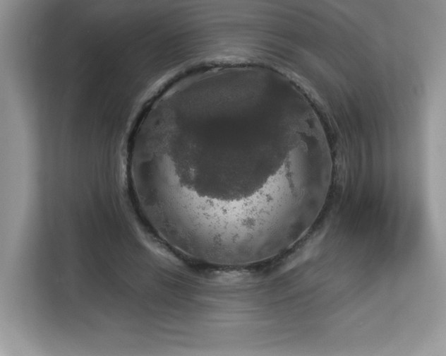 X0000113110446200908281412