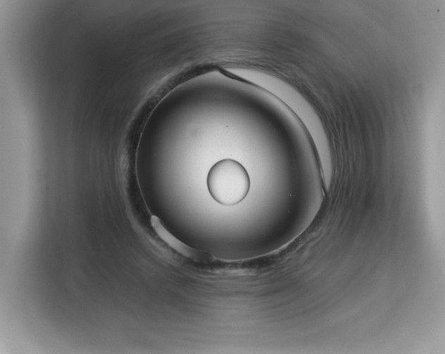 X0000113110448200908281412