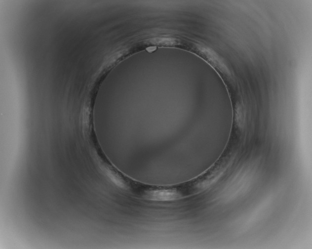 X0000113110449200908281412