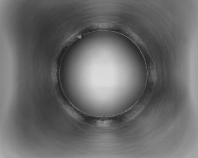 X0000113110450200908281412