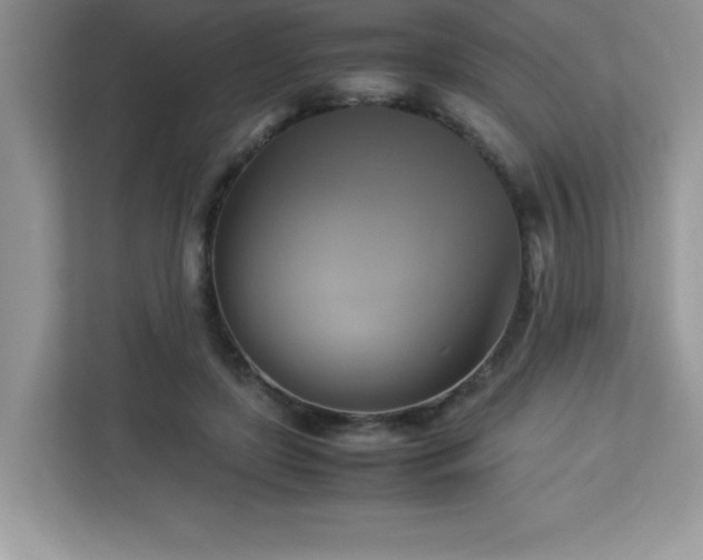 X0000113110451200908281412