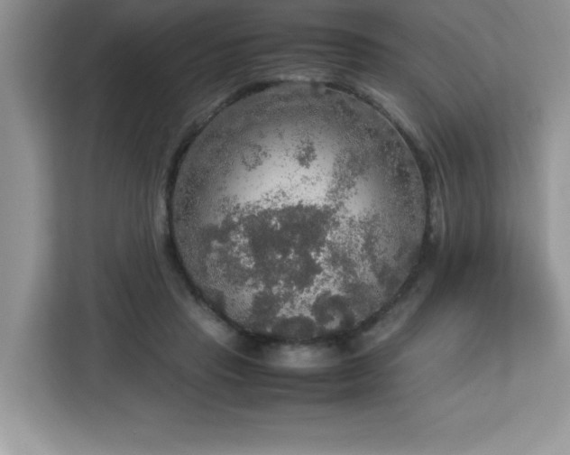 X0000113110453200908281412