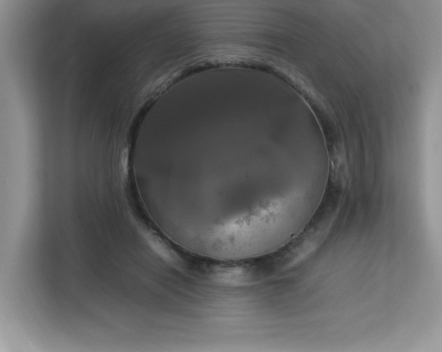 X0000113110454200908281412