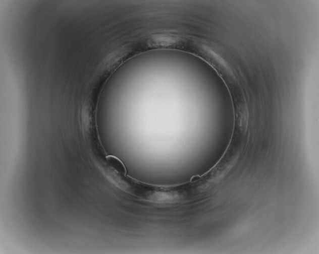 X0000113110455200908281412
