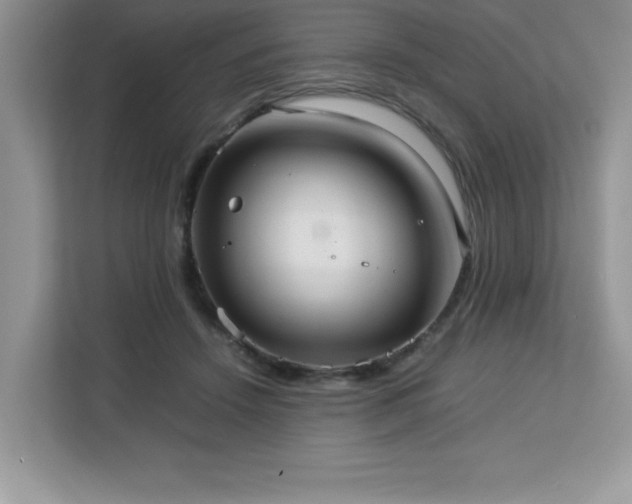 X0000113110456200908281412