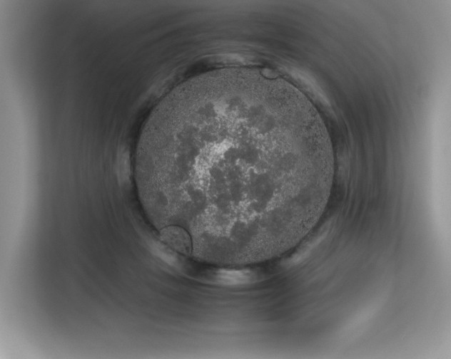 X0000113110457200908281412