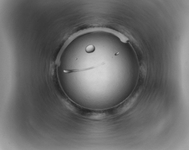 X0000113110458200908281412
