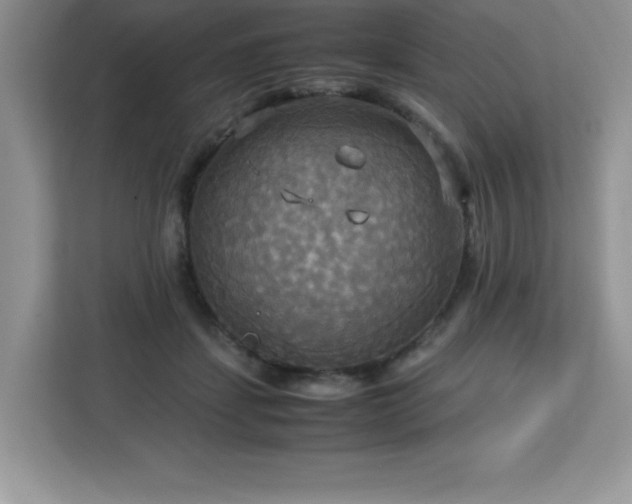 X0000113110459200908281412
