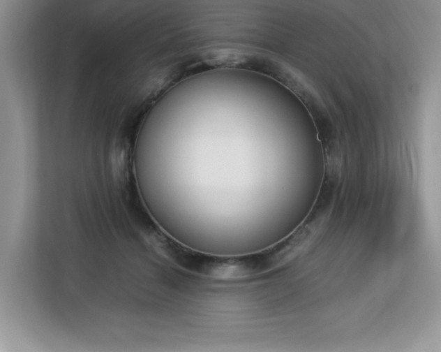 X0000113110460200908281412