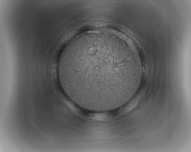X0000113110462200908281412