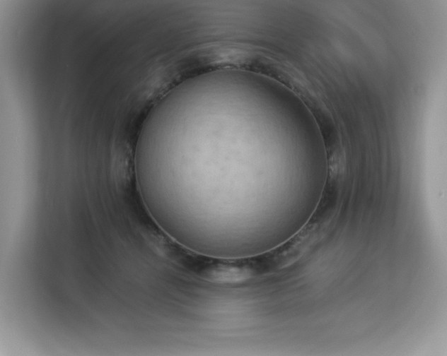 X0000113110464200908281412
